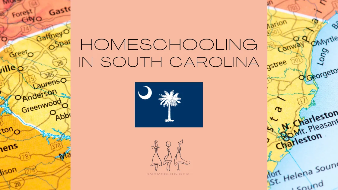 homeschooling in south carolina