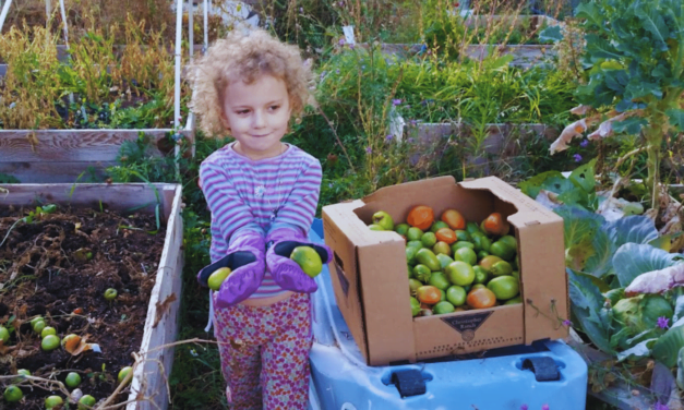 7 Money-Saving Gardening Tips for the New or Experienced Gardener