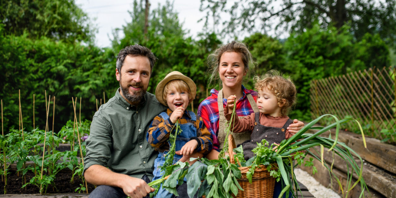 7 Ways a BackYard Garden Will Improve Your Family’s Lives