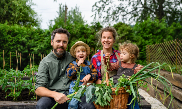 7 Ways a BackYard Garden Will Improve Your Family’s Lives