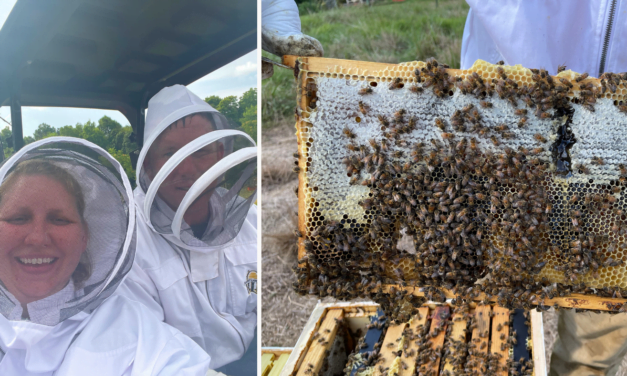 Beekeeping 101 with an Accidental Beekeeper