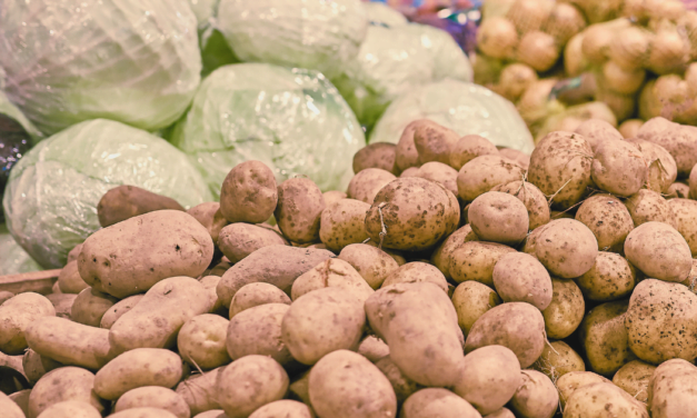 Potatoes or Cabbages? A short story of the Great Depression, Sherwood Forest, and community