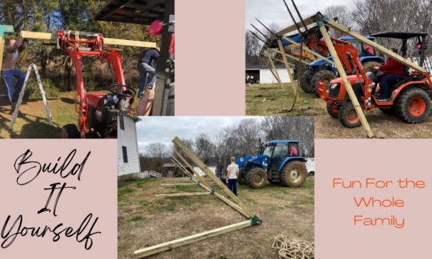 How to Build a Swing Set Everyone Will Love