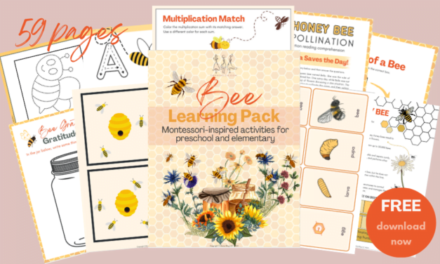Bee Learning Pack (pre-k/elementary) FREEBIE