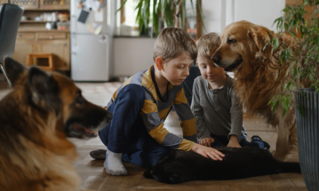 Burn The House Down & More Great Tips To Get Rid Of Fleas